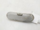 Luz del asiento delantero