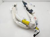 Airbag del techo
