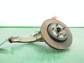 Front wheel hub spindle knuckle