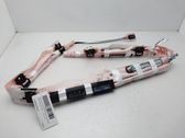 Airbag del techo