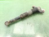 Rear shock absorber/damper