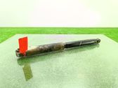 Stoßdämpfer hinten