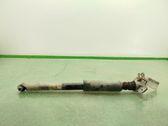 Rear shock absorber/damper