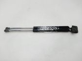 Tailgate/trunk strut/damper