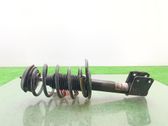Front shock absorber/damper