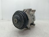 Compresor (bomba) del aire acondicionado (A/C))