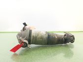 Stoßdämpfer hinten