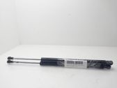 Tailgate/trunk strut/damper