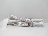 Airbag de toit