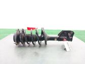 Front shock absorber/damper