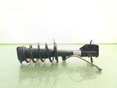 Front shock absorber/damper