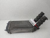 Radiador intercooler