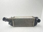Chłodnica powietrza doładowującego / Intercooler