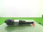 Front shock absorber/damper