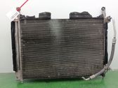 Radiador de refrigeración del A/C (condensador)