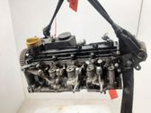Culata del motor