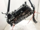 Culata del motor