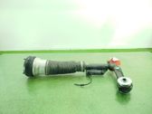 Front shock absorber/damper
