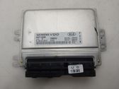 Unidad de control/módulo del motor
