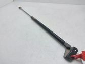 Tailgate/trunk strut/damper