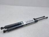 Tailgate/trunk strut/damper