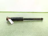Rear shock absorber/damper