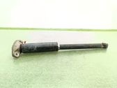 Rear shock absorber/damper
