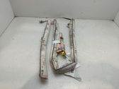 Roof airbag