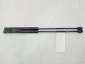 Tailgate/trunk strut/damper