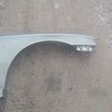 Front mudguard