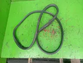 Rear door rubber seal (on body)