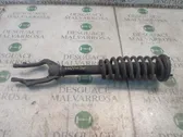 Front shock absorber with coil spring