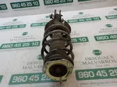 Front shock absorber with coil spring