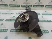 Rear wheel hub spindle/knuckle