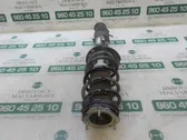 Front shock absorber with coil spring