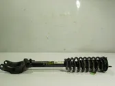 Front shock absorber with coil spring