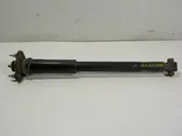 Rear shock absorber/damper