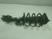 Front shock absorber with coil spring