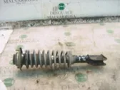 Front shock absorber with coil spring