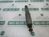 Front shock absorber with coil spring