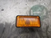 Front fender indicator light