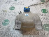 Fuel expansion tank