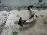 Exhaust manifold