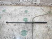 Amortiguador/puntal del maletero/compartimento de carga