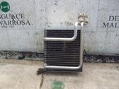 Secador de aire del aire acondicionado (A/C)