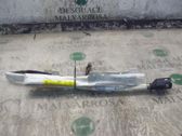 Airbag de la puerta delantera