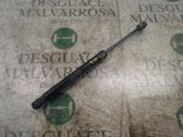Amortiguador/puntal del maletero/compartimento de carga