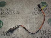 Sonde lambda