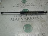 Amortiguador/puntal del capó/tapa delantero
