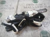 Airbag de la puerta delantera